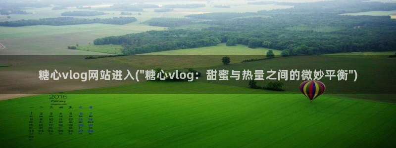 糖心vlog老司机：糖心vlog网站进入(\