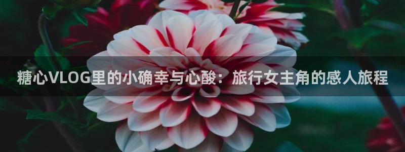 糖心vlog作品封面：糖心VLOG里的小