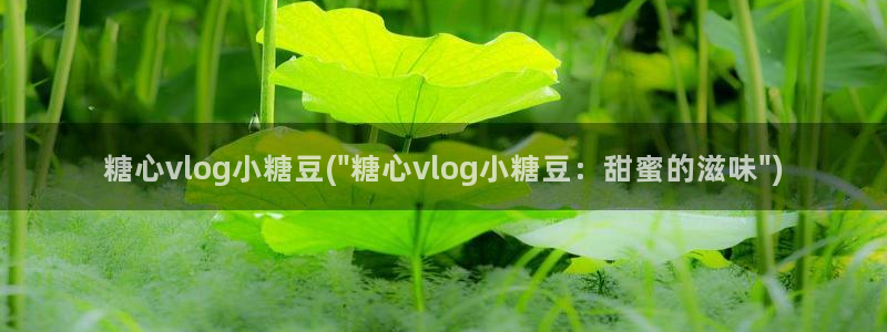 洛丽塔vlog糖心：糖心vlog小糖豆(\