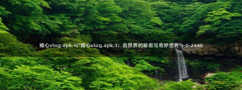 糖心vlog中国