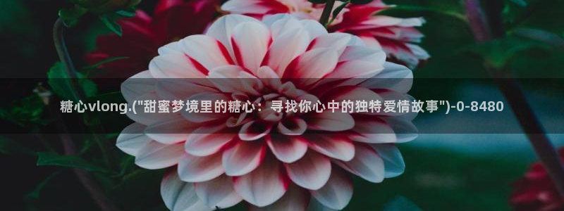 糖心vlog破解版入口