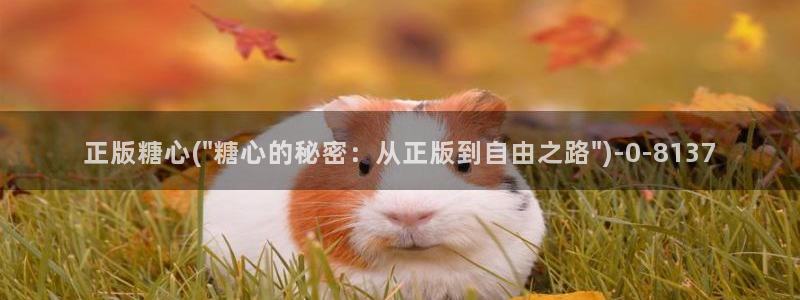 网站糖心vlog