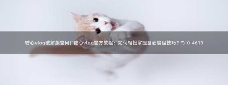 糖心vlog网