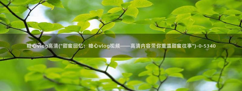 心糖vlog 破解版
