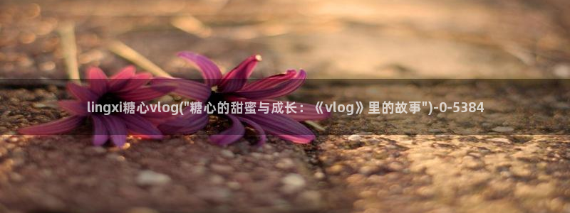 糖心vlog精品