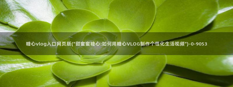 糖心vlog破解版