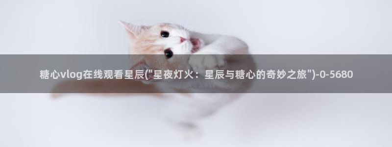 糖心vlog com