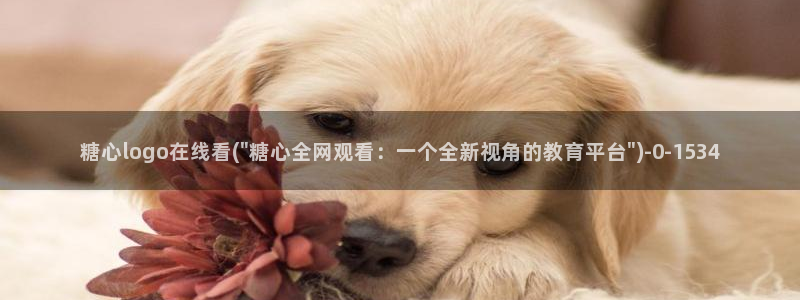 糖心vlog破解版在线