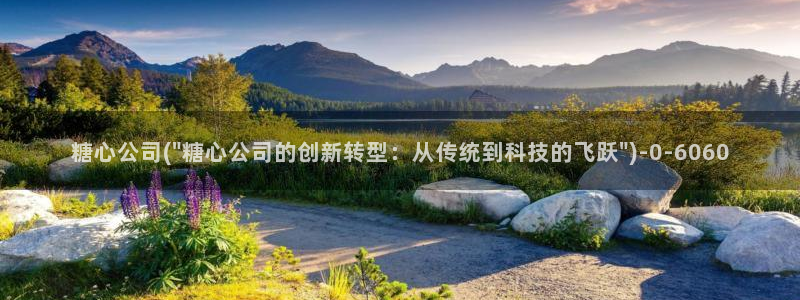 心糖vlog在线