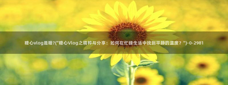 糖心vlog 网页版下载安装