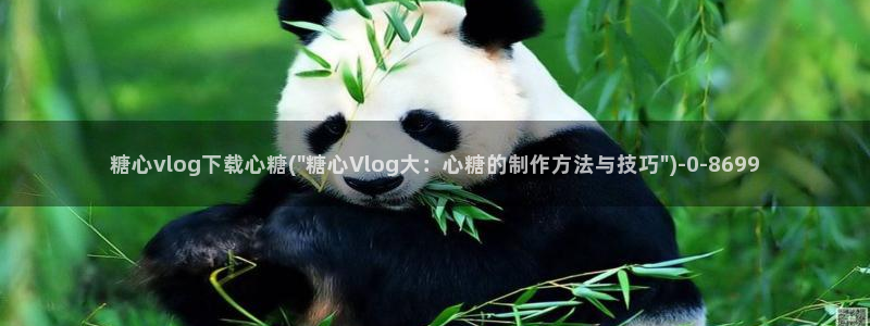 糖心vlog是